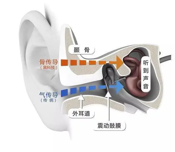 骨傳導(dǎo)耳機(jī)原理